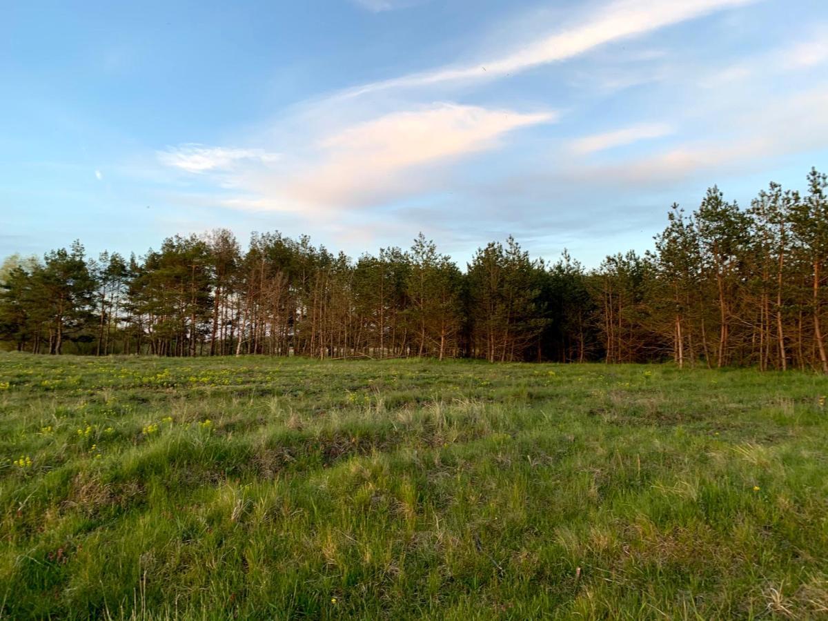 Noclegi Little Sheep Chojna Exterior photo